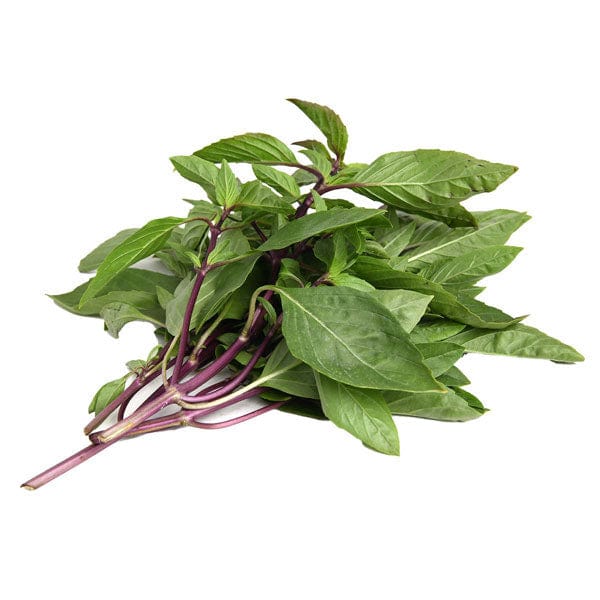Thai Basil (โหระพา)