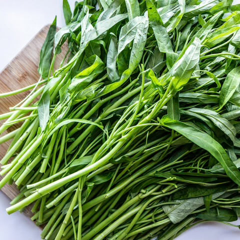 Water Spinach (ผักบุ้ง)