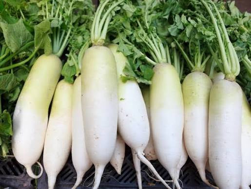 Daikon Radish(หัวไชเท้า)