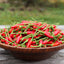 Thai Chili Peppers (พริกสด)