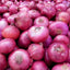 Shallot (หอมแดง)