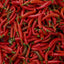 Thai Chili Peppers (พริกสด)