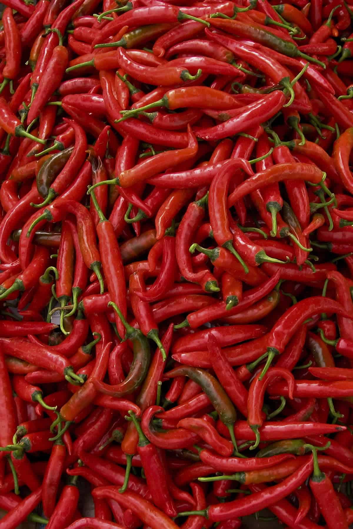Thai Chili Peppers (พริกสด)