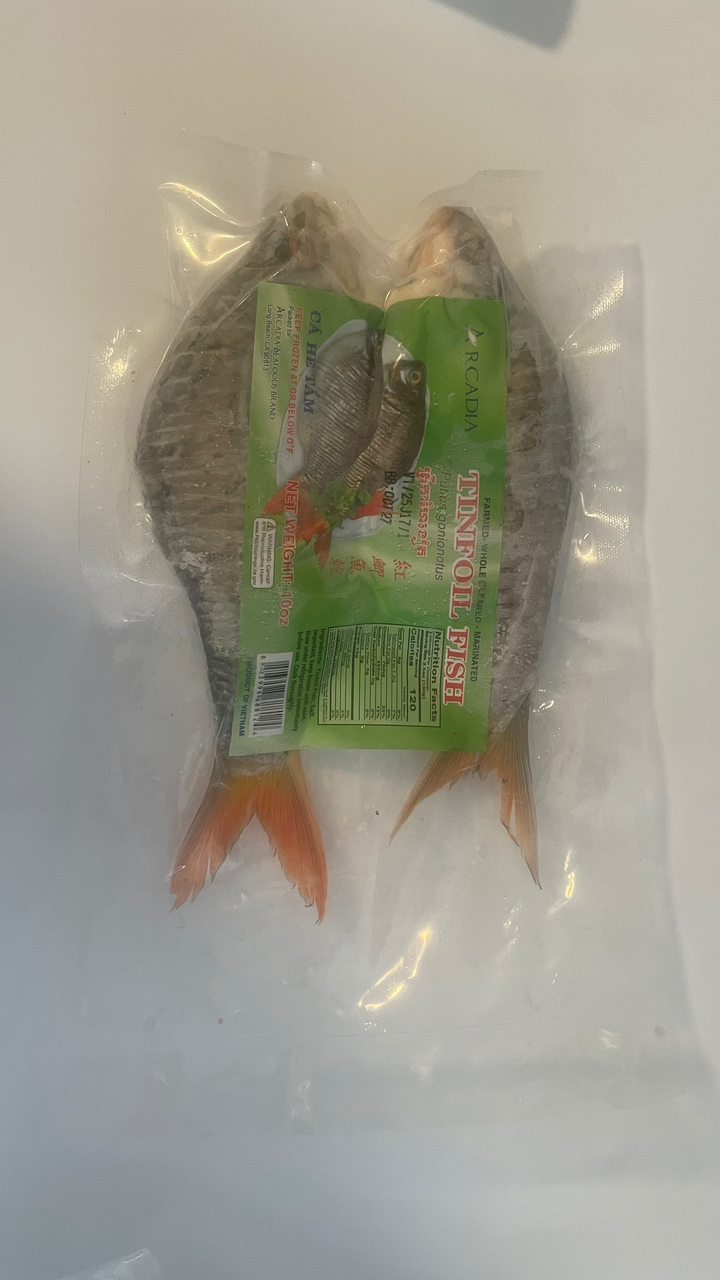 ARCADIA TINFOIL FISH