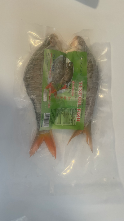 ARCADIA TINFOIL FISH