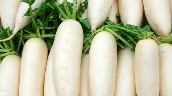 Daikon Radish(หัวไชเท้า)