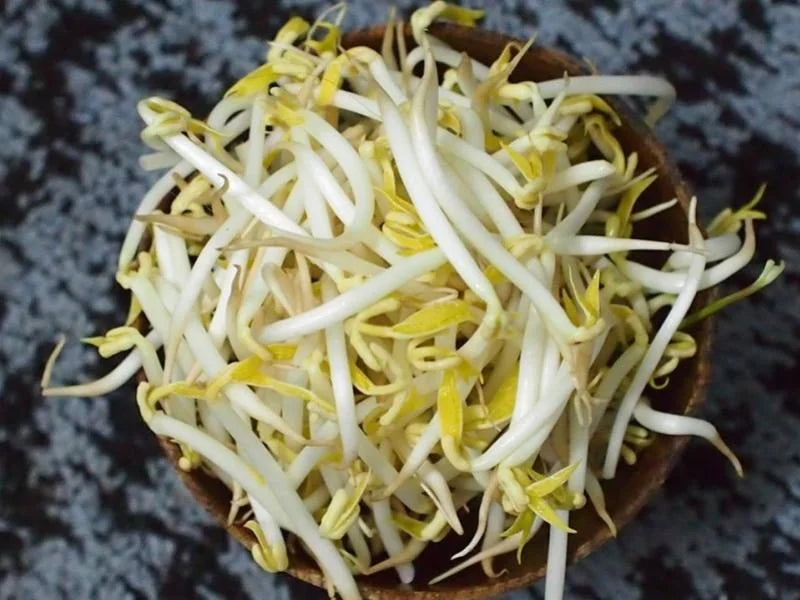 Bean Sprouts (ถั่วงอก)