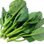 Chinese Broccoli (ผักคะน้า)