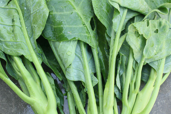 Chinese Broccoli (ผักคะน้า)