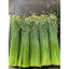 Garlic Chives (กุยช่าย)