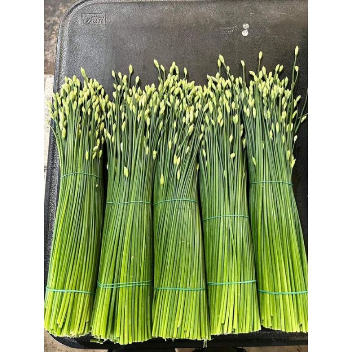 Garlic Chives (กุยช่าย)